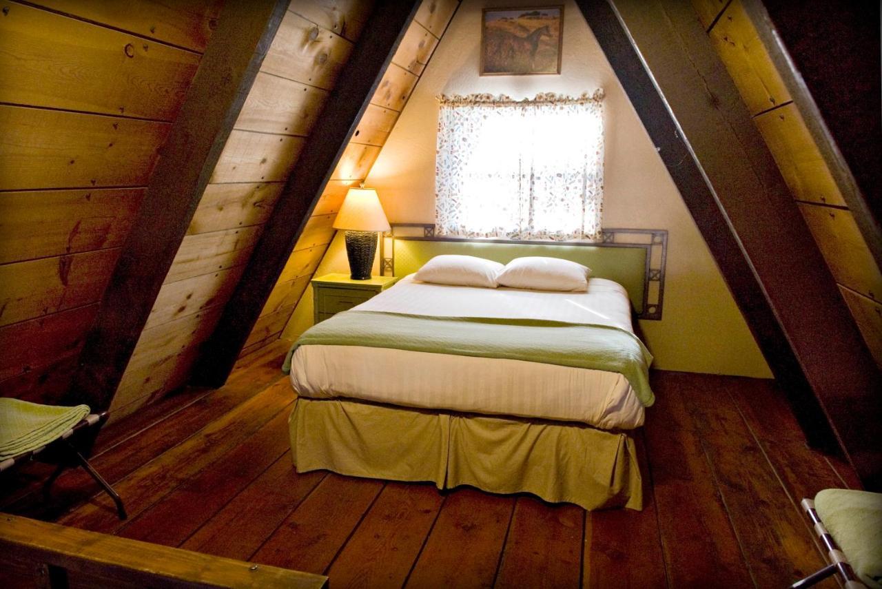 Hotel Cabins On Strawberry Hill Pine Exterior foto