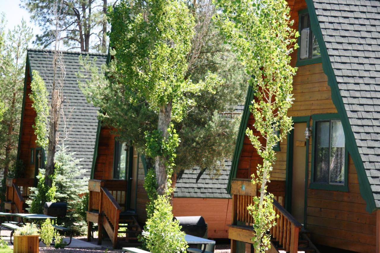 Hotel Cabins On Strawberry Hill Pine Exterior foto