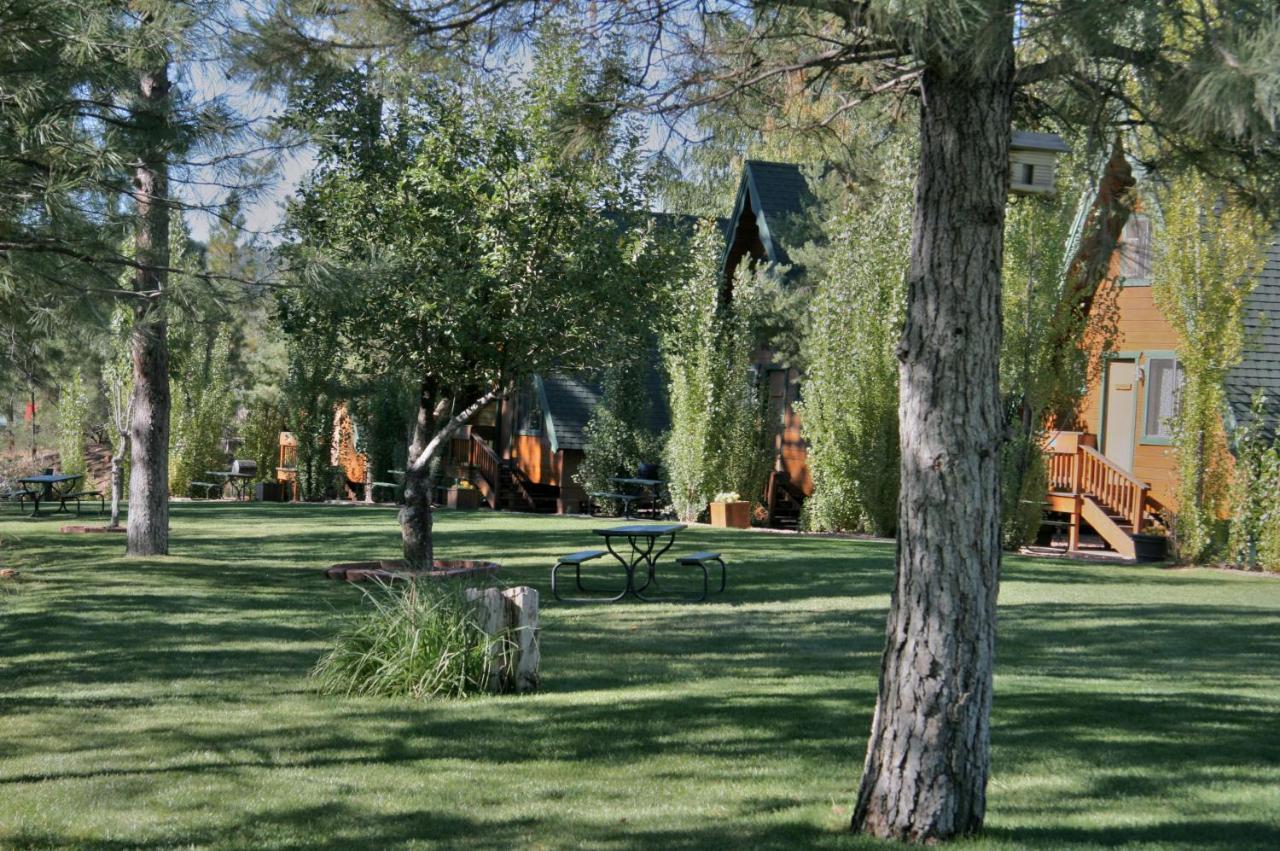 Hotel Cabins On Strawberry Hill Pine Exterior foto
